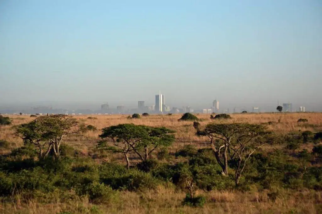 Nairobi City in the background of Nairobi National Park