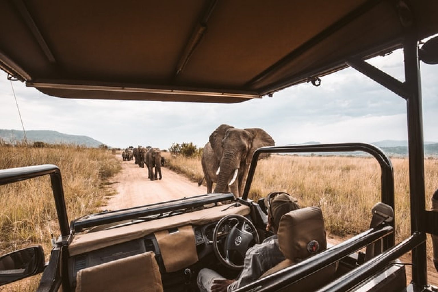 drive your car through safari near me
