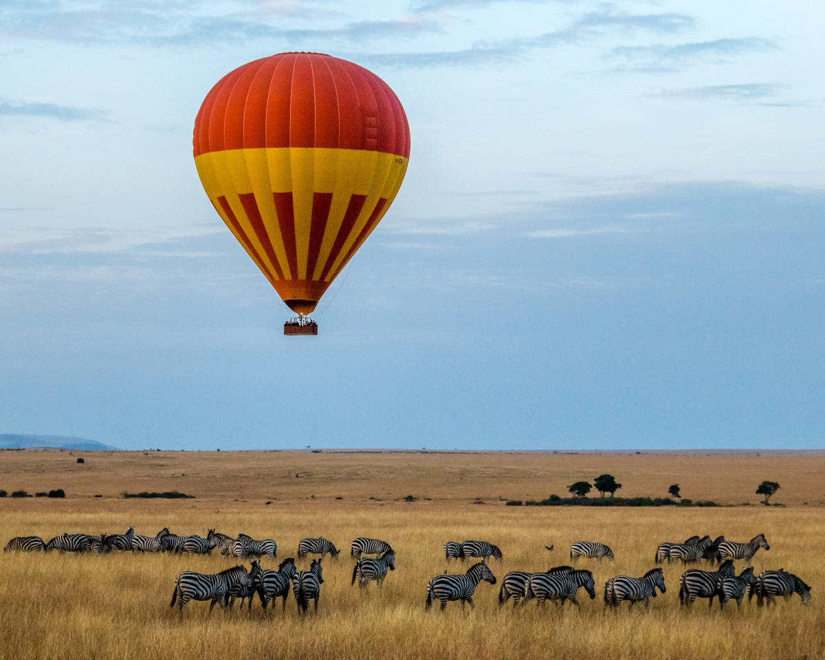 hot air balloon hanging over a group of animals